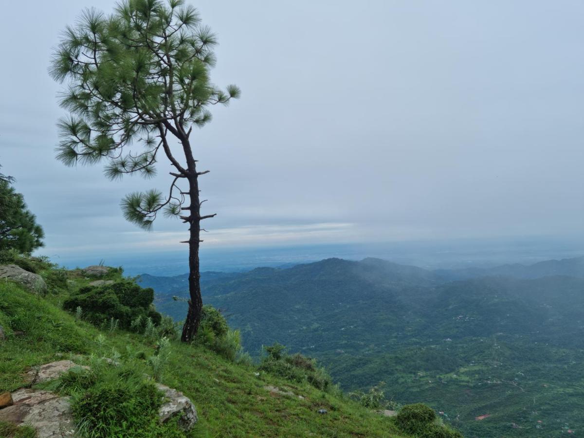 Vista Cottage Solan Dış mekan fotoğraf