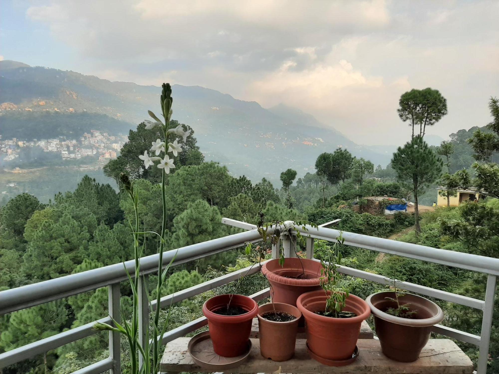 Vista Cottage Solan Dış mekan fotoğraf